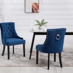 Louis Modern Black Grey Blue Velvet Set of 2 Dining Chairs