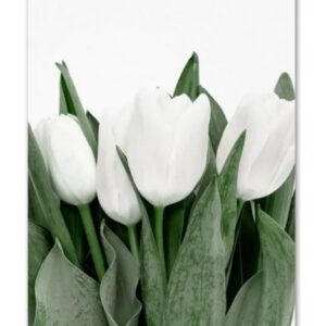 WHITE FLOWERS CANVAS PAINTING ART NO FRAME